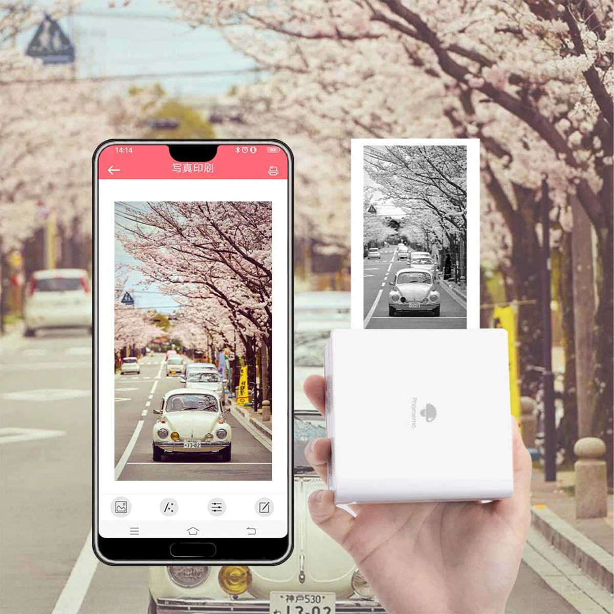 T02 3-Rolls Thermal Stickers Colorful/Self-Adhesive/Non-Adhesive/Transparent Mini Printers Journal/Study/DIY/Gifts/Travel/Party