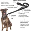 Dog Leashes Outdoor Travel Dog Training Chain Heavy Duty Double Handle Lead for Greater Control Safety Training Dual Handle 3