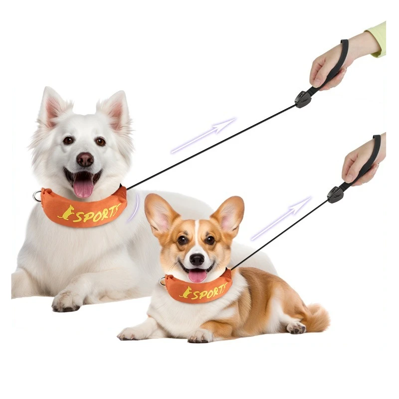 New Pet Supplies Dog Leash Collar Integrated Retractable Dog Leash Collar Traction Rope New Pet Supplies Dog Leash Collar Integrated Retractable Dog Leash Collar Traction Rope