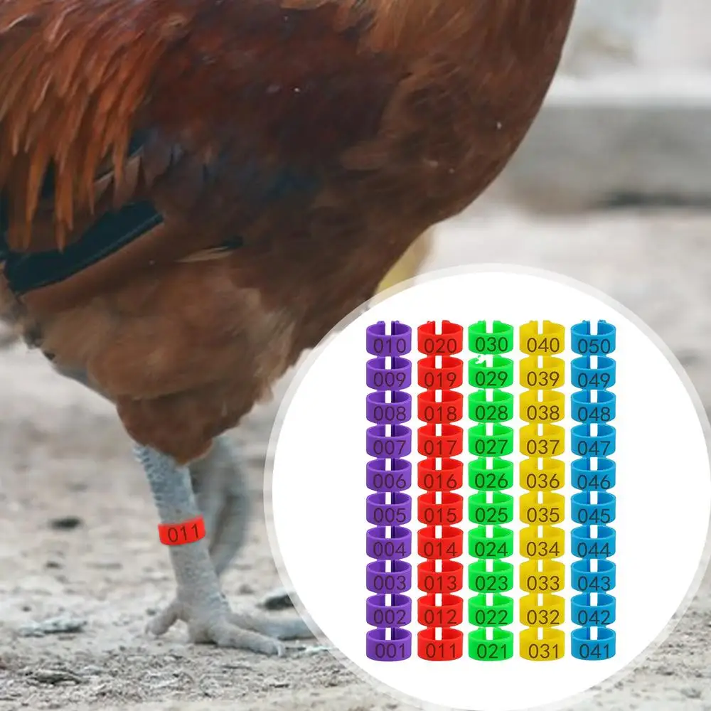 Description Picture 2 of item1.6cm 01~50 Chicken Foot Ring Turkeys Quail Foot Ring Easy Install & Remove Manually Poultry Carry Foot Ring 50/100 Pcs