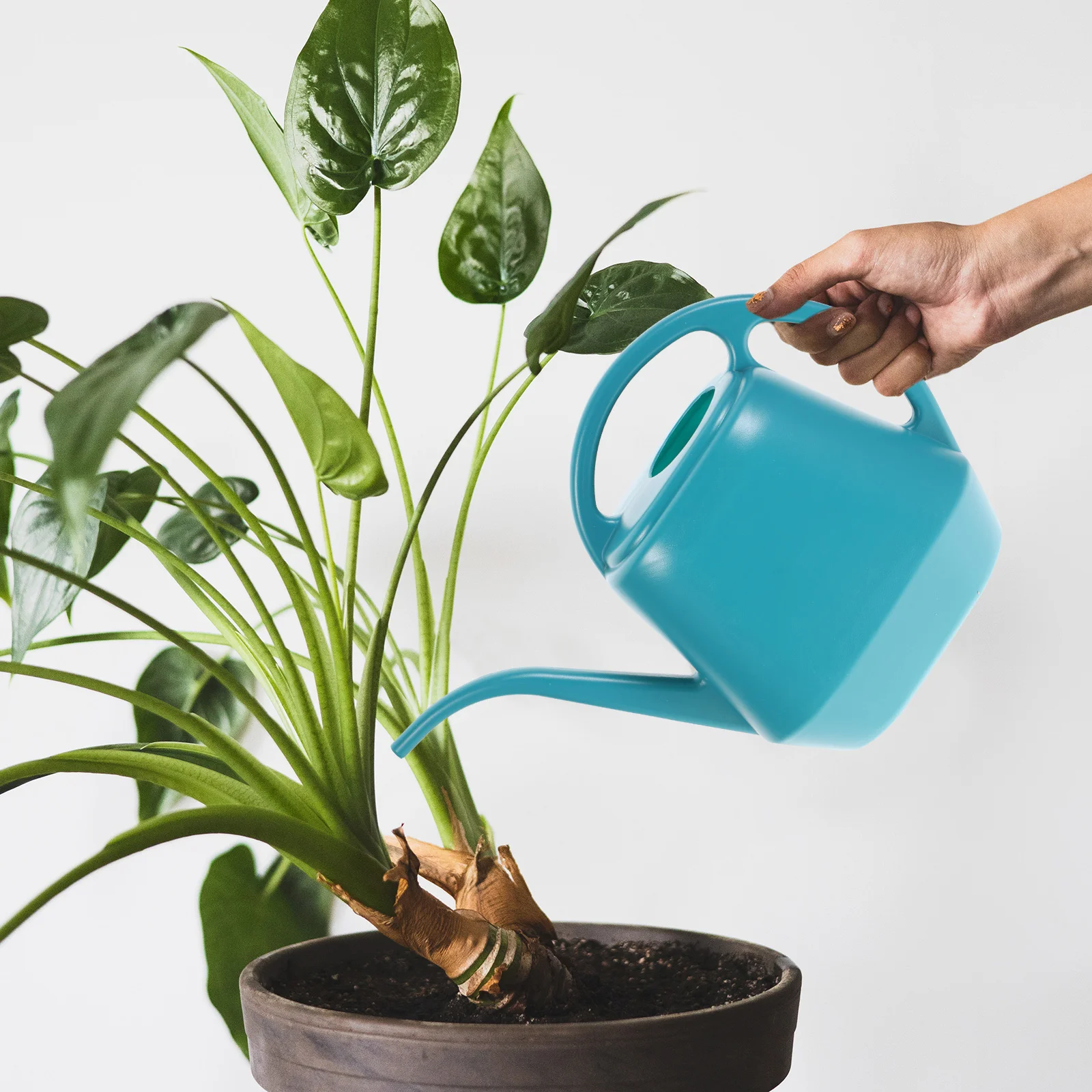 

Watering Can Indoor Plants Long Spout Plastic Flower Pots for Outdoors Flowers Succulent