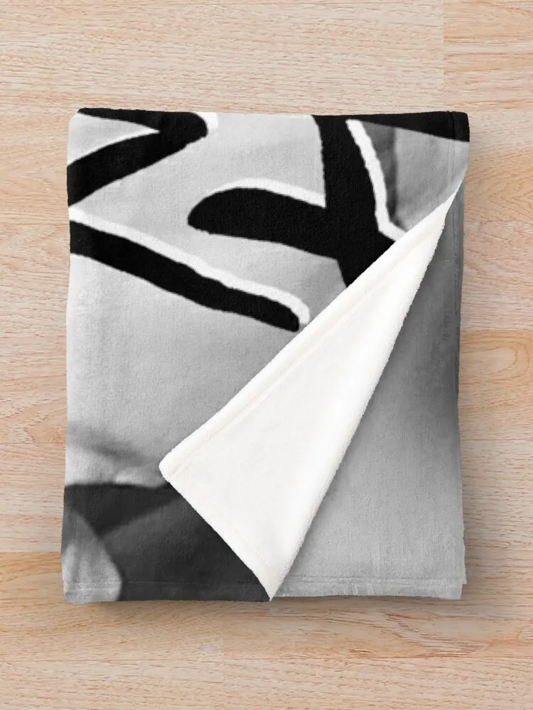 Fournal Niall Ya �ϾƸ޸�ī ���� 2020 ������ ���, �Ŵ��� ����, ���� �̺� ���