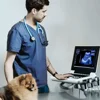 Ultrasound Scanner Veterinary for Pregnancy, Vet Portable B-Ultra Sound Scanner Machine Farm Animals Pet, Dog Cat Pregnancy Test 2