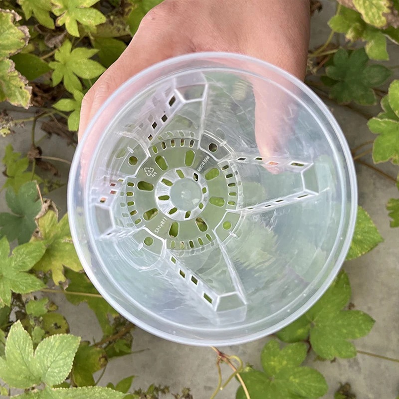 10cm 5Pcs Transparent Flower Pot Potted Phalaenopsis Orchid Green Plant Plastic Seedling Pot Orchid Gardening Supplies
