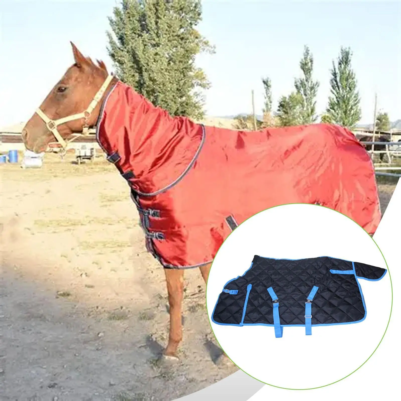 Horse Blanket High Performance Gifts Sturdy Multifunctional Equestrian Gear Horsewear
