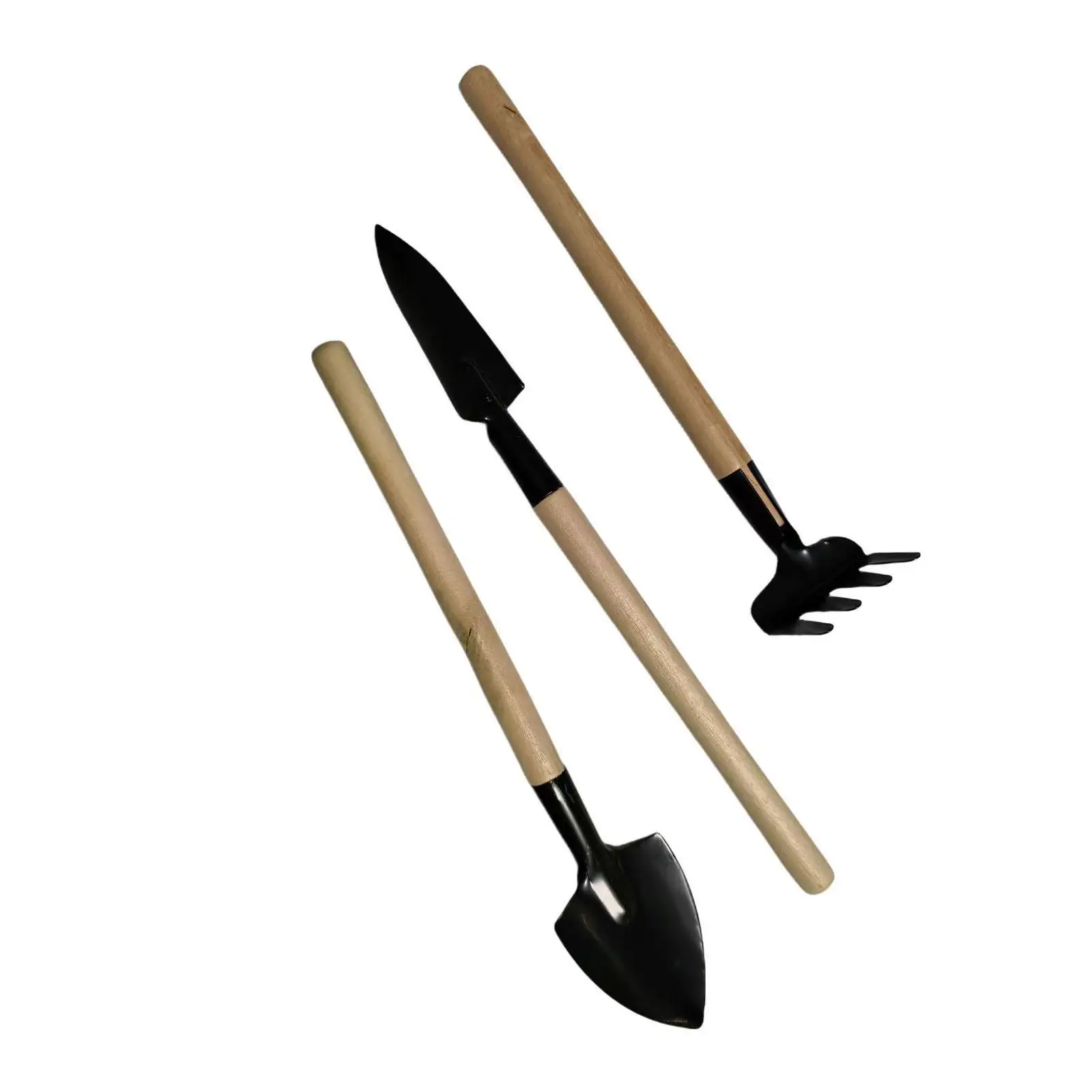 Watering Can with Stainless Steel Long Spout for Indoor Plants 34oz with Gardening Tools for Garden Household Bonsai Succulents