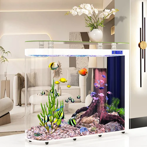 https://ae01.alicdn.com/kf/S787ef9b75e9d4543a3b361f425977f36m/Fish-Tank-Living-Room-Floor-Bullet-Subareas-Screens-Aquarium-Household-Ecological-Glass-Fish-Globe.jpg