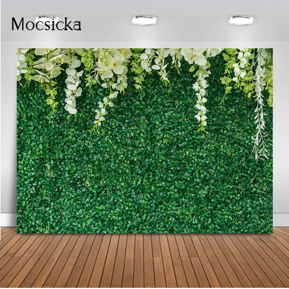 Mocsicka ܵ     ȥ ź       Ŀ Ʃ