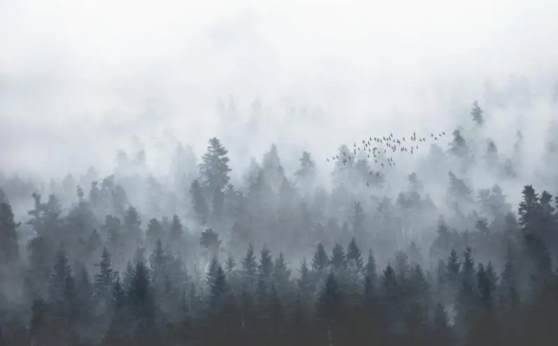 High Quality Renovação da Casa