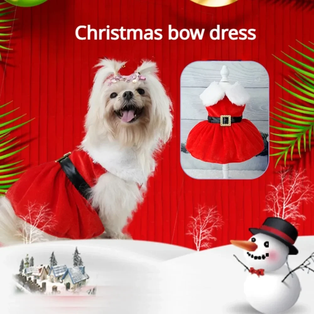 Pet dress for dogs and cats