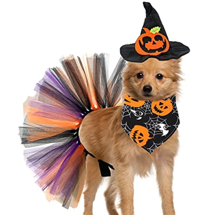 Halloween Pumpkin Witch Hat Pet Costume Set