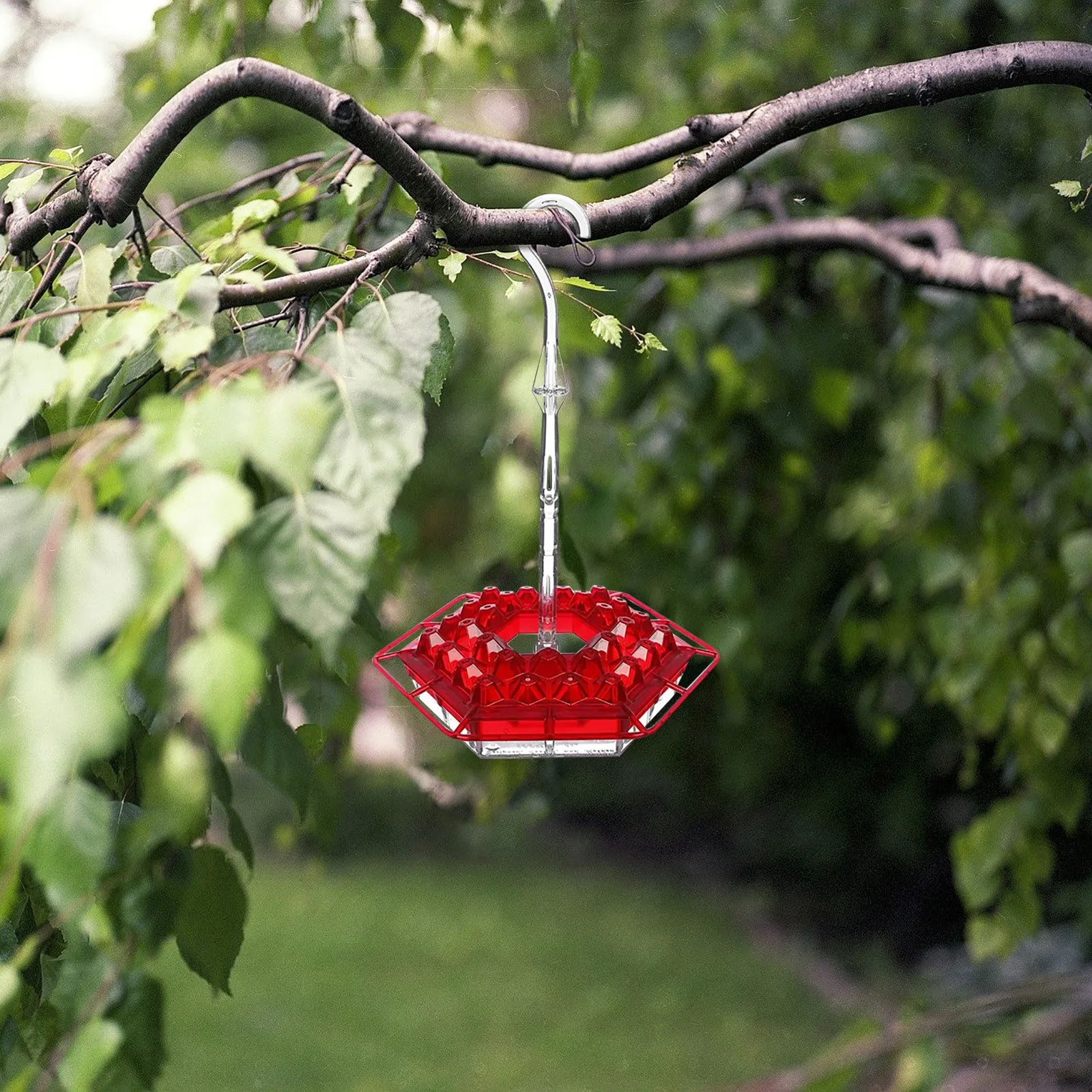 Summer Promotion 45% Off-hummingbird Feeders For Outdoors Hanging