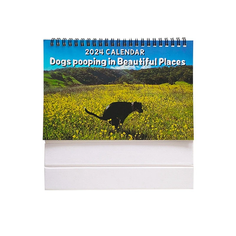 

1 Piece Dog In Beautiful Places Calendar 2024 Funny Calendar 2024 1 X Table Calendar