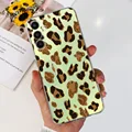 Case-c33