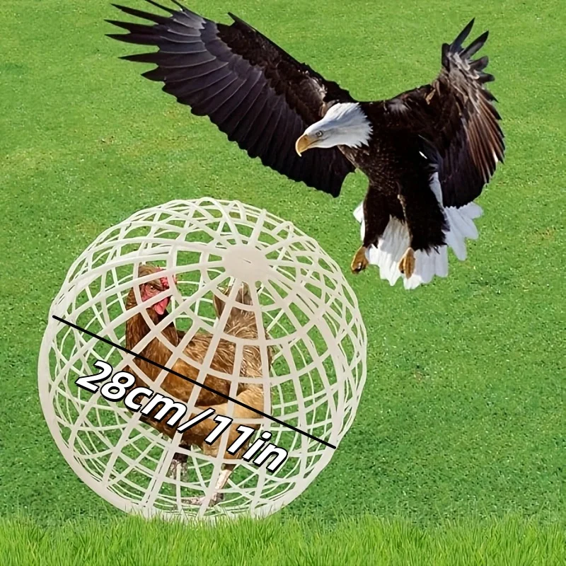Chicken Rolling Safety Cage 6