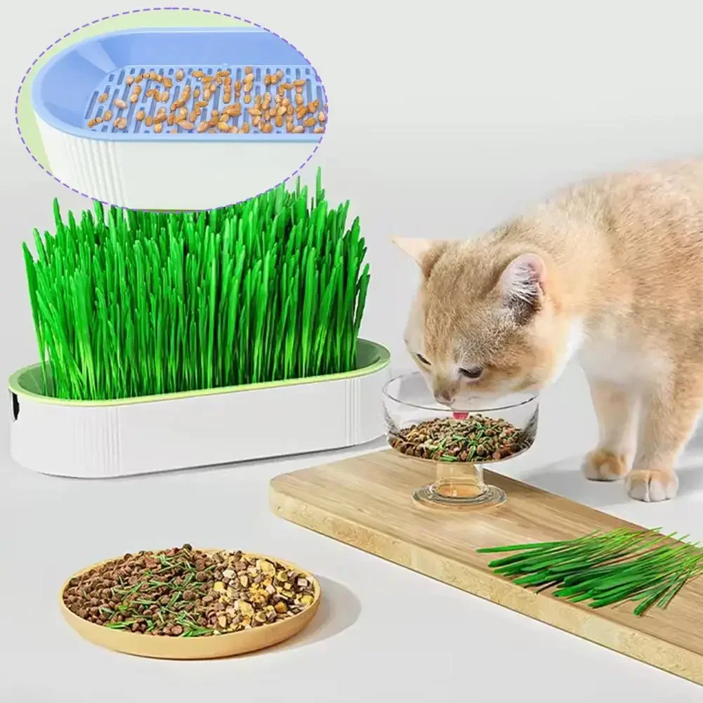 Hydroponic Cat Grass Kit - Easy-Grow Indoor Cat Treats & Healthy Snack Box