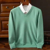 Men's 100 Pure Mink Sweater V-Neck Pullover Cashmere Knitted Bottom Sweater Sweater New High-End Casual Top In Autumn Winter 2
