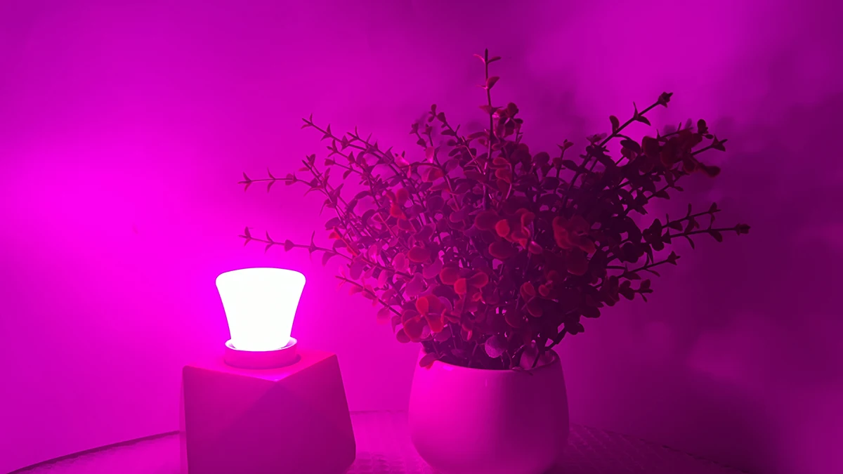 Description Picture 6 of itemMulticolor E27 B22 LED Globe Light Bulb 2W AC 110V/220V Globe Decoration Lamp 360 Degree Lighting for Party Bar Holiday Decor