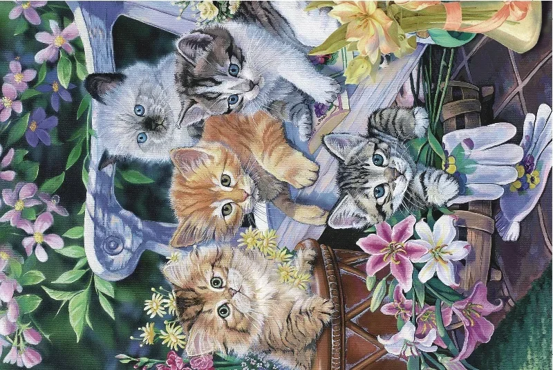 C-014 Park cats