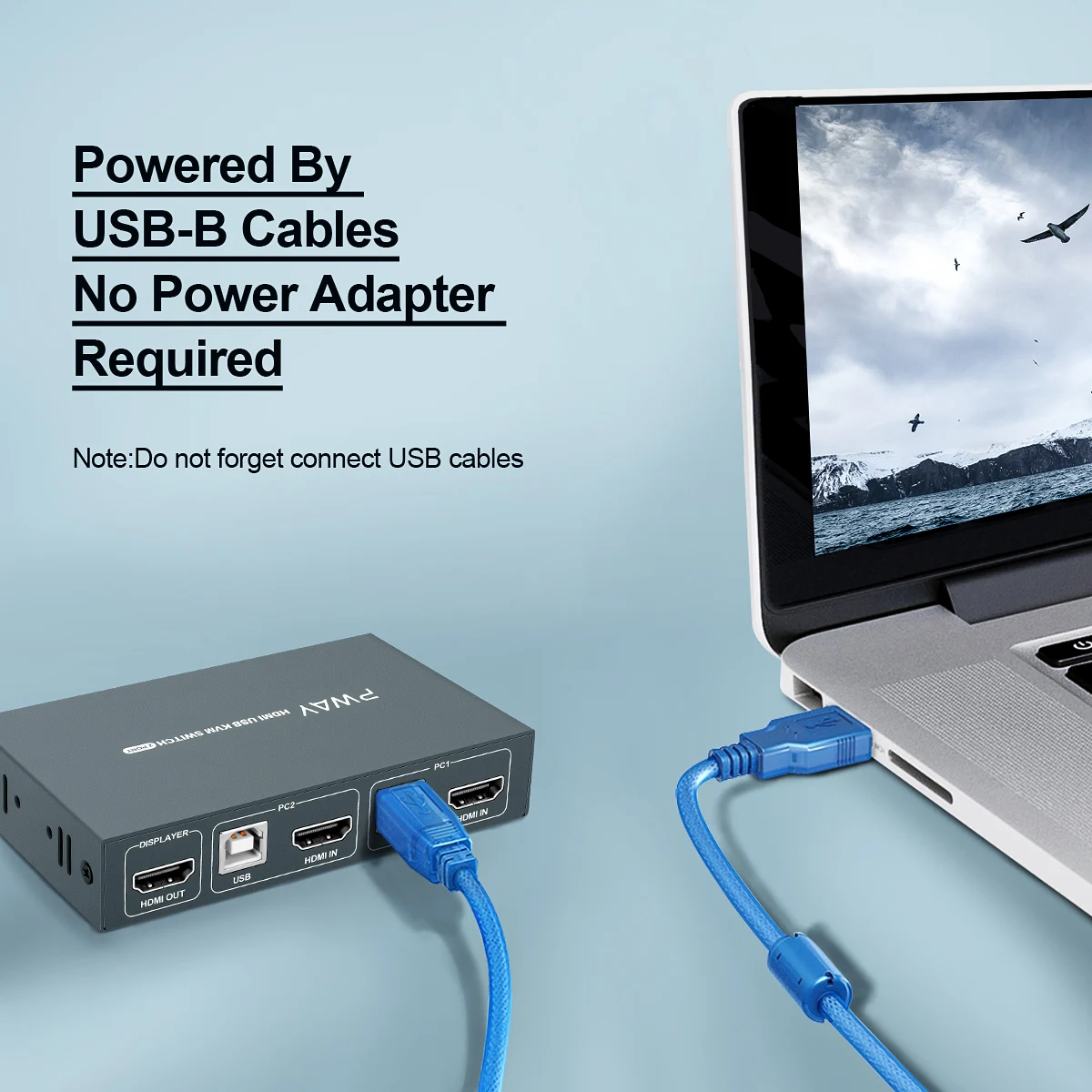 ǻ 4K Kvm HDMI ġ 2   USB 2.0 ó, 2  1  ġ, ÷ Ʈ 1  2 Ʈ, 4K 30hz