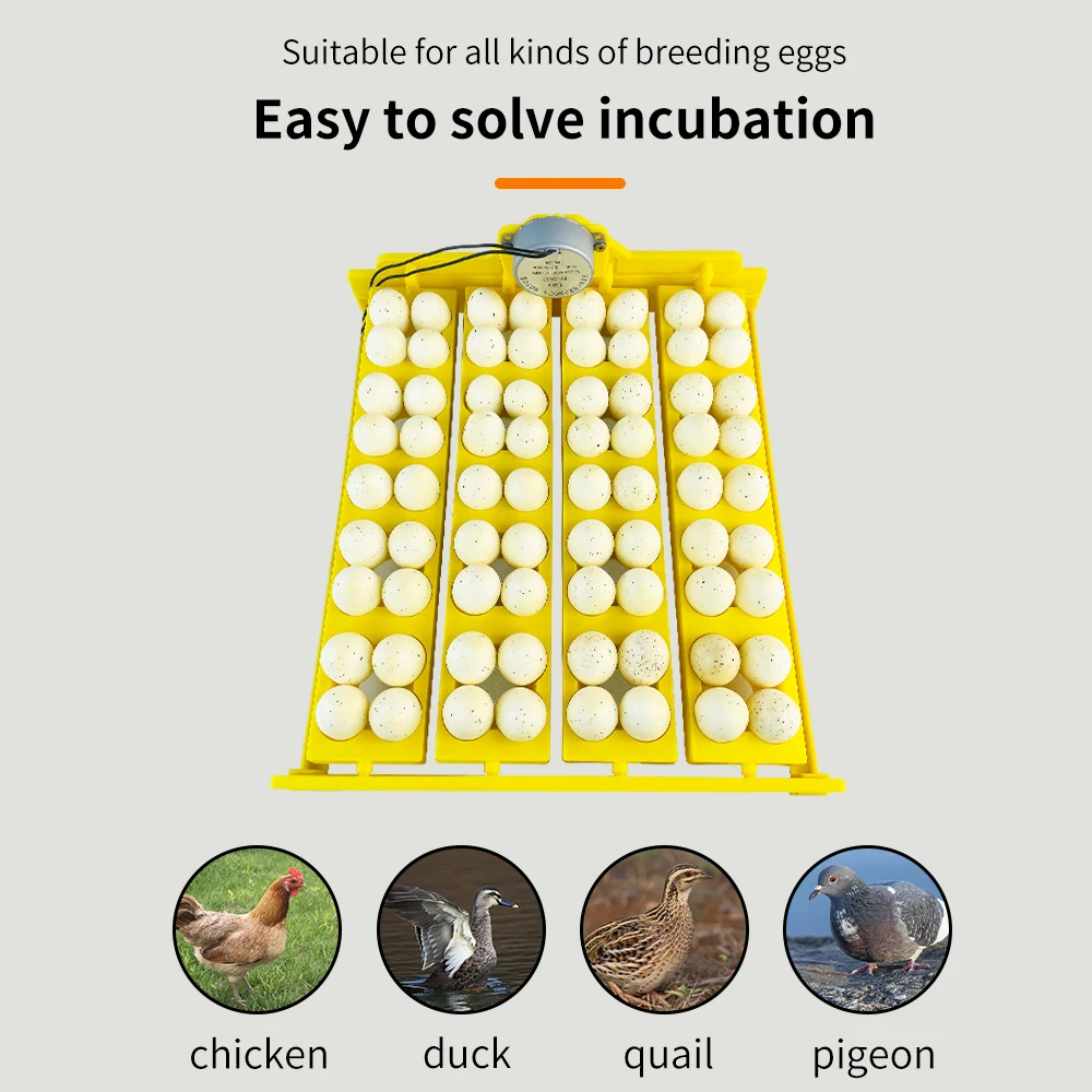 16/24 Eggs Incubator Automatic Egg Flipping Poultry Incubation Equipment