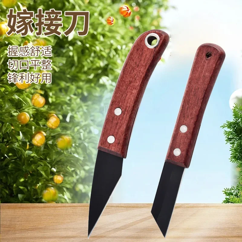 

Blade steel budding knife grafting knife hand-made sharp durable flower seedling grafting knife special