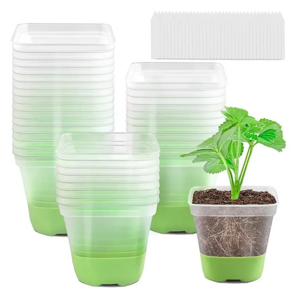 6 plastic square flower pots, transparent planting and seedling pots, reusable, breathable with silicone bottom and label