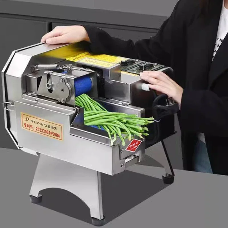 Vegetable cutter Shallot Carrot Potato Fruit Electric Slicer Multifunctional Commercial Dicing Machine 110V/220V
