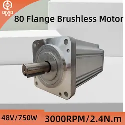 NEMA BLDC 80mm Brushless Motor QW80Y2H03L30750 48V 750W 300rpm Square Flange 80mm Body Length 145mm
