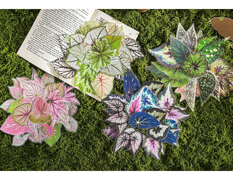 20 pcs Plants Flowers Leaf PET Sticker pack Hand Account Collage Junk Journal Planner Scrapbooking Decor Stationery Stickers