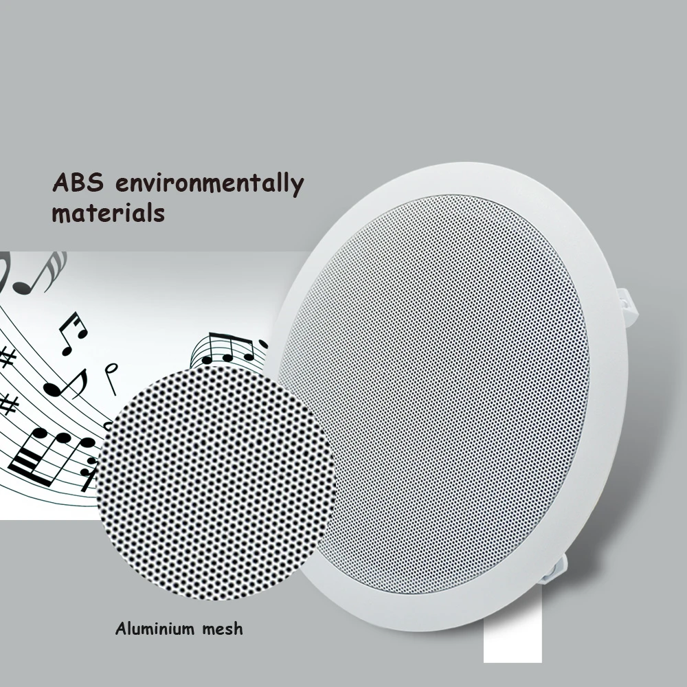 Рисунок 3 - Коаксиальный потолочный динамик