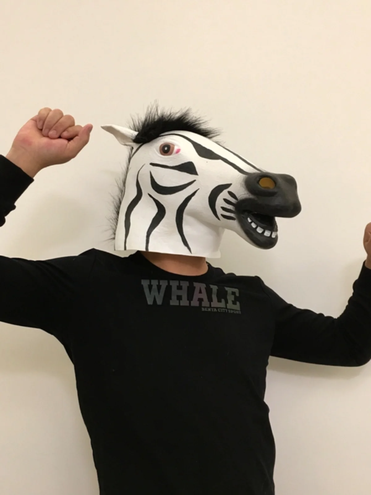 Feestmaskers Cartoon Dieren Leeuw Maskers Volledig Half Gezicht Halloween  Maskerade Rekwisieten In Goud, Zilver, Zwart, Wit Van 19,65 € | DHgate, image size:1200x1600