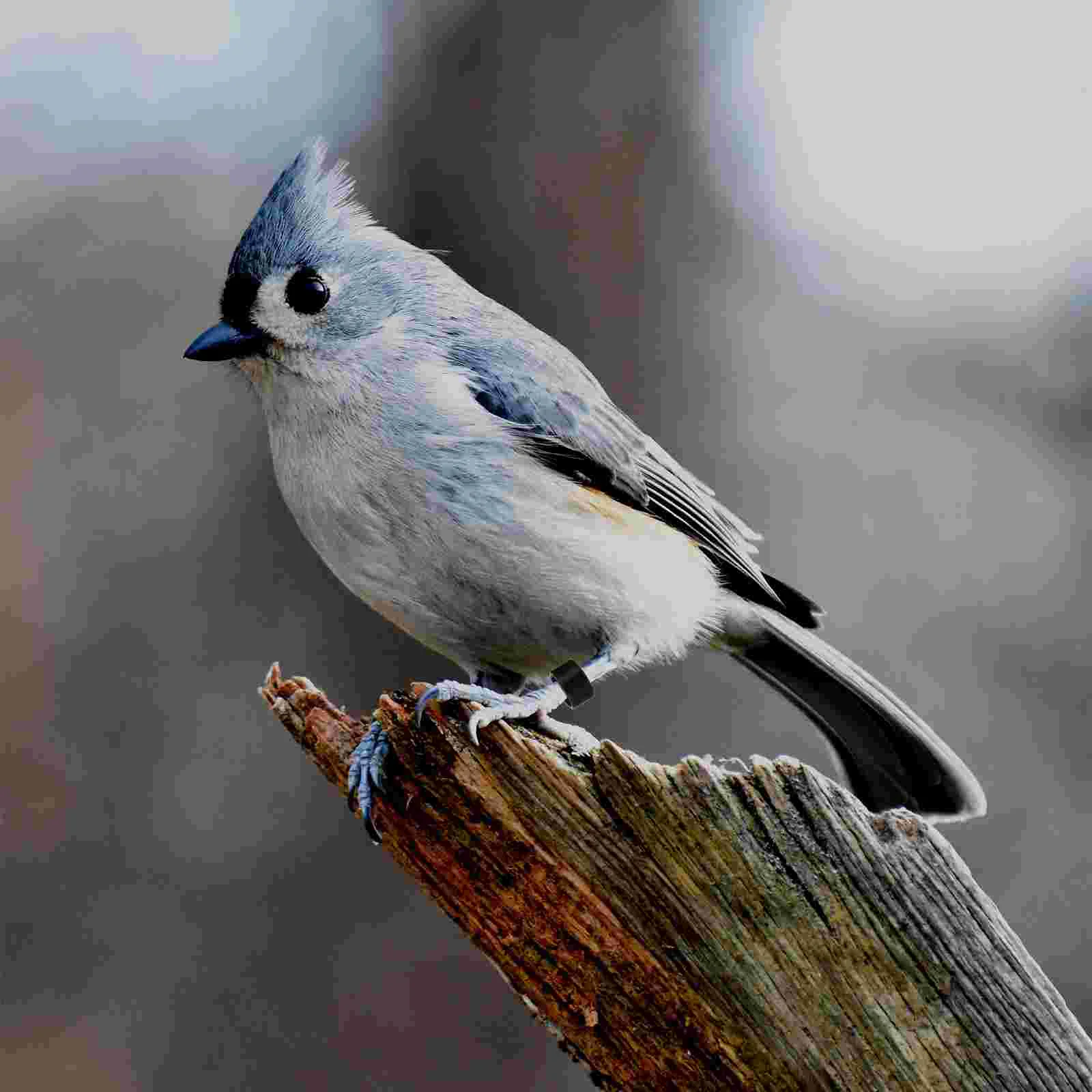 ٸ   ѱ     Ŭ  ݷ ĺ  ѱ Ȧ  Ʒ ĺ ±