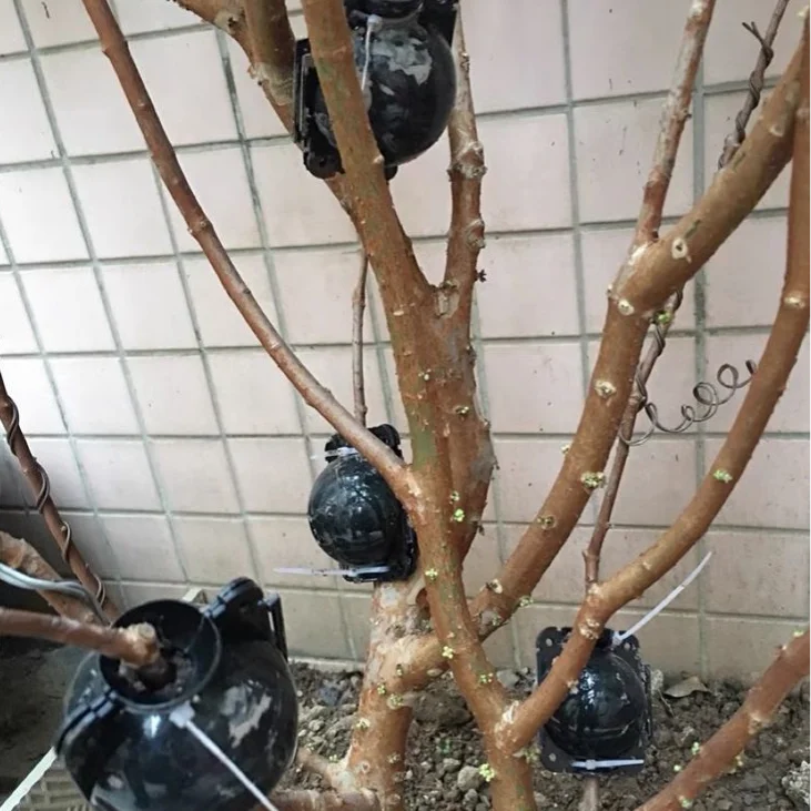 Plant rooting pot hydroponic gardening kit hydroponic planting tools Agricultural Gardening Rooting Propagation Ball High-pressure Planting Supplies Plant Breeding Ball Reusable Breeding Equipment