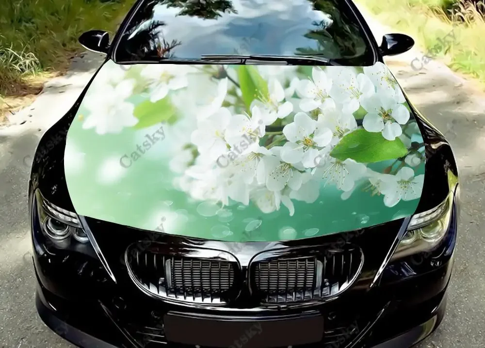 

Виниловые наклейки для грузовиков, грузовиков, грузовиков