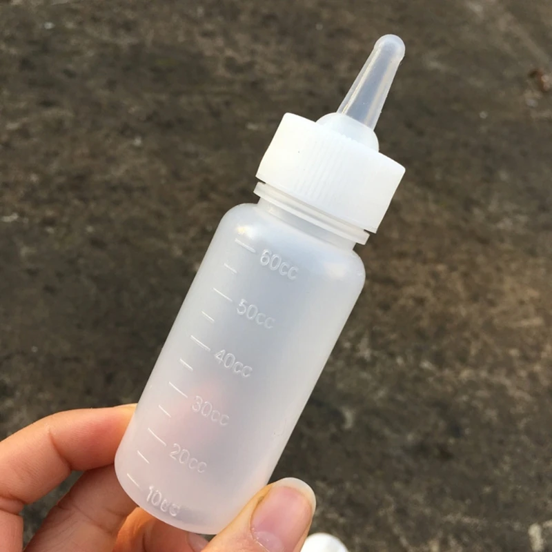 Handfeeding 새끼 고양이 강아지를위한 애완 동물 간호 병 세트 작은 동물 명확한 병을위한 정확한 교정 라인