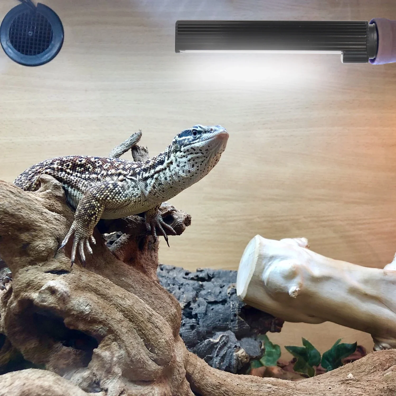 US EU E26 E27 6500k NO UVC White Light Terrarium LED Reptile Lighting UVB LED Lamp For Reptiles