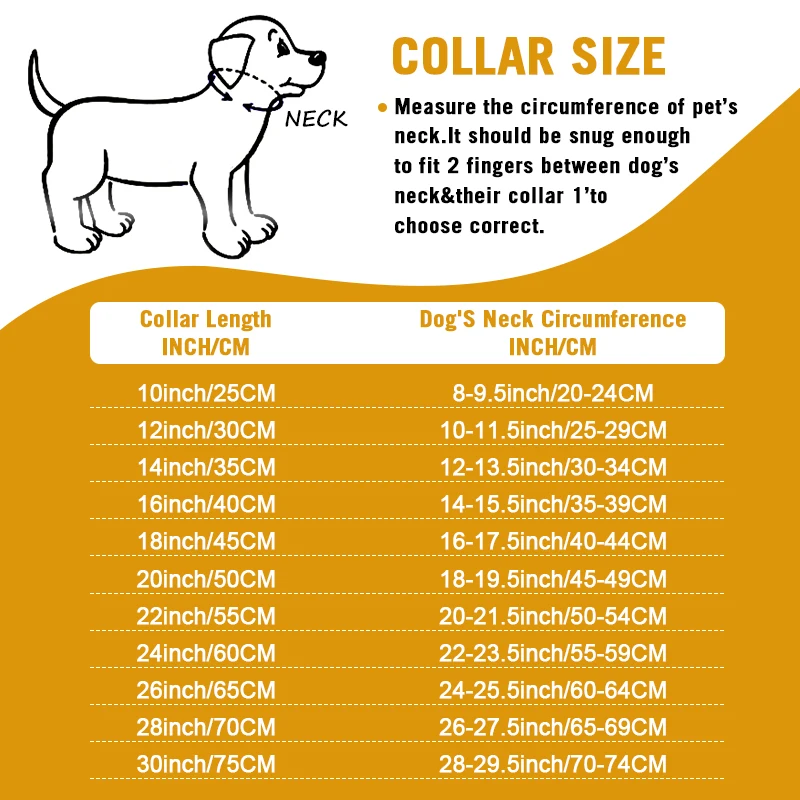 Aiyidi Gold Dog Chain Collar Stainless Steel with Zirconia Lock Luxury Dog  Necklace 14MM Heavy Duty Cuban Chain Collar for Small Medium Large Dogs