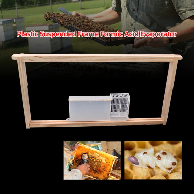 Méhkas Atkák Hangulatú És Ecetsav -Adagoló Hangyasav Elpárologtató Varroa Vezérli A Méheszközöket