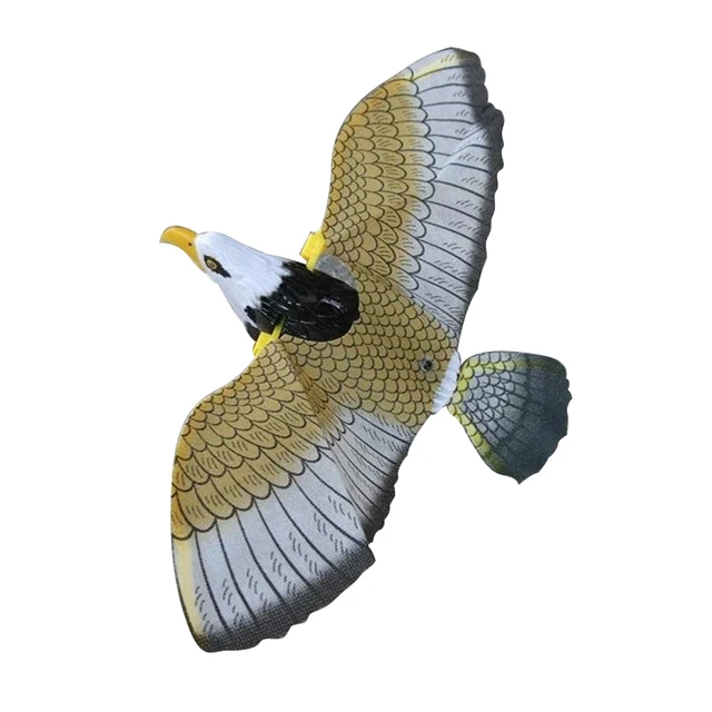 Big Electric Eagle Flying Bird LED Light Eye Glowing Sound Bird Hawk Toys Kids Educational Toys play  interactive toys 3