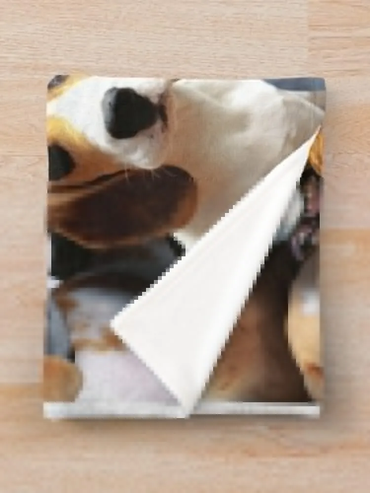 ��� ������ ���, ����� �� �ʼ�ǰ, �����̳� �ʴ��� ������ ���