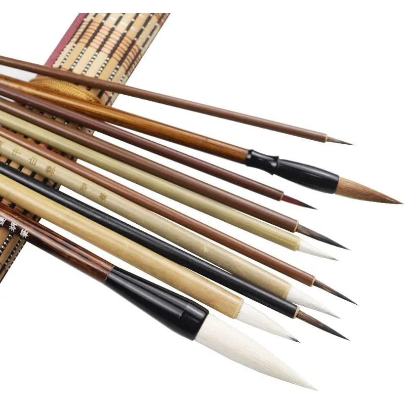 10Pcs Professional Chinese Calligraphy Brushes Set with Storage Bag Traditional Chinese Painting 2
