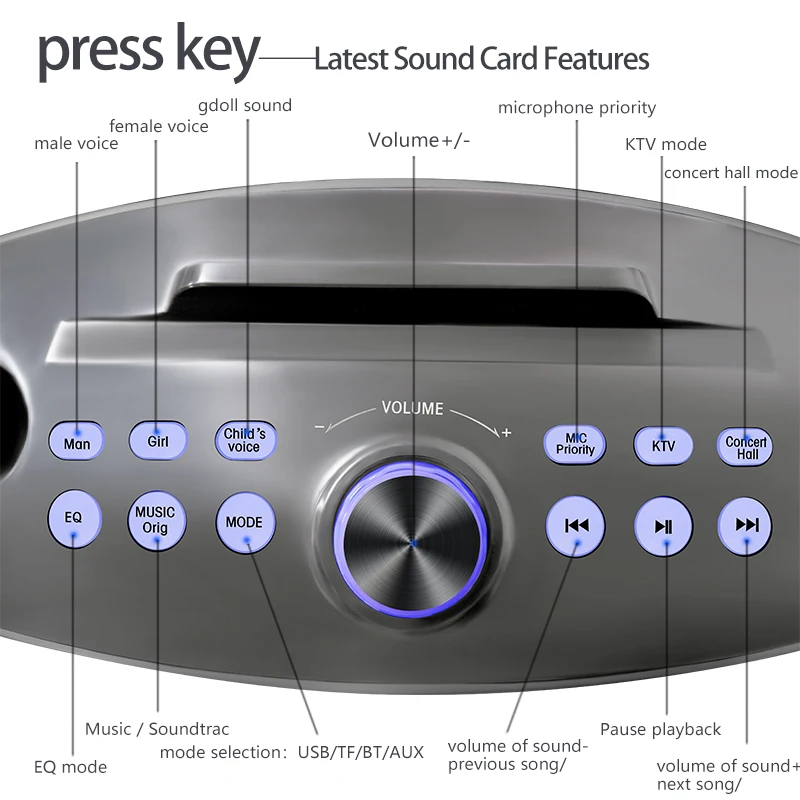 SDR SD-306 ワイヤレススピーカーカラオケマイク Sdrd-ポータブル