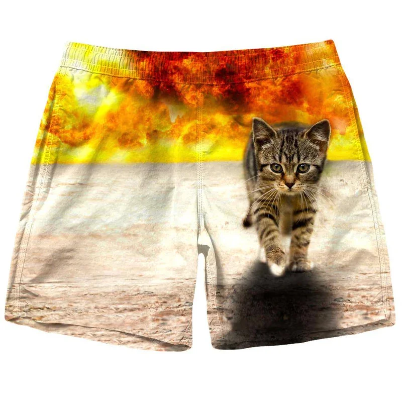 New Men Tiger Cat Beach Shorts 3D Printed Starry Sky Short Pants Fashion Street Oversize Breathable Sports Gym Women Shorts 4