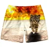 New Men Tiger Cat Beach Shorts 3D Printed Starry Sky Short Pants Fashion Street Oversize Breathable Sports Gym Women Shorts 4