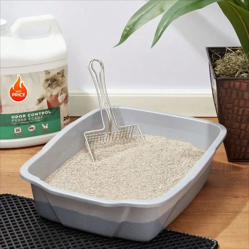 20 lb Scoopable Clumping Cat Litter for Cats, Fresh and Easy to Move and Empty(Local warehouse arrive in 3)