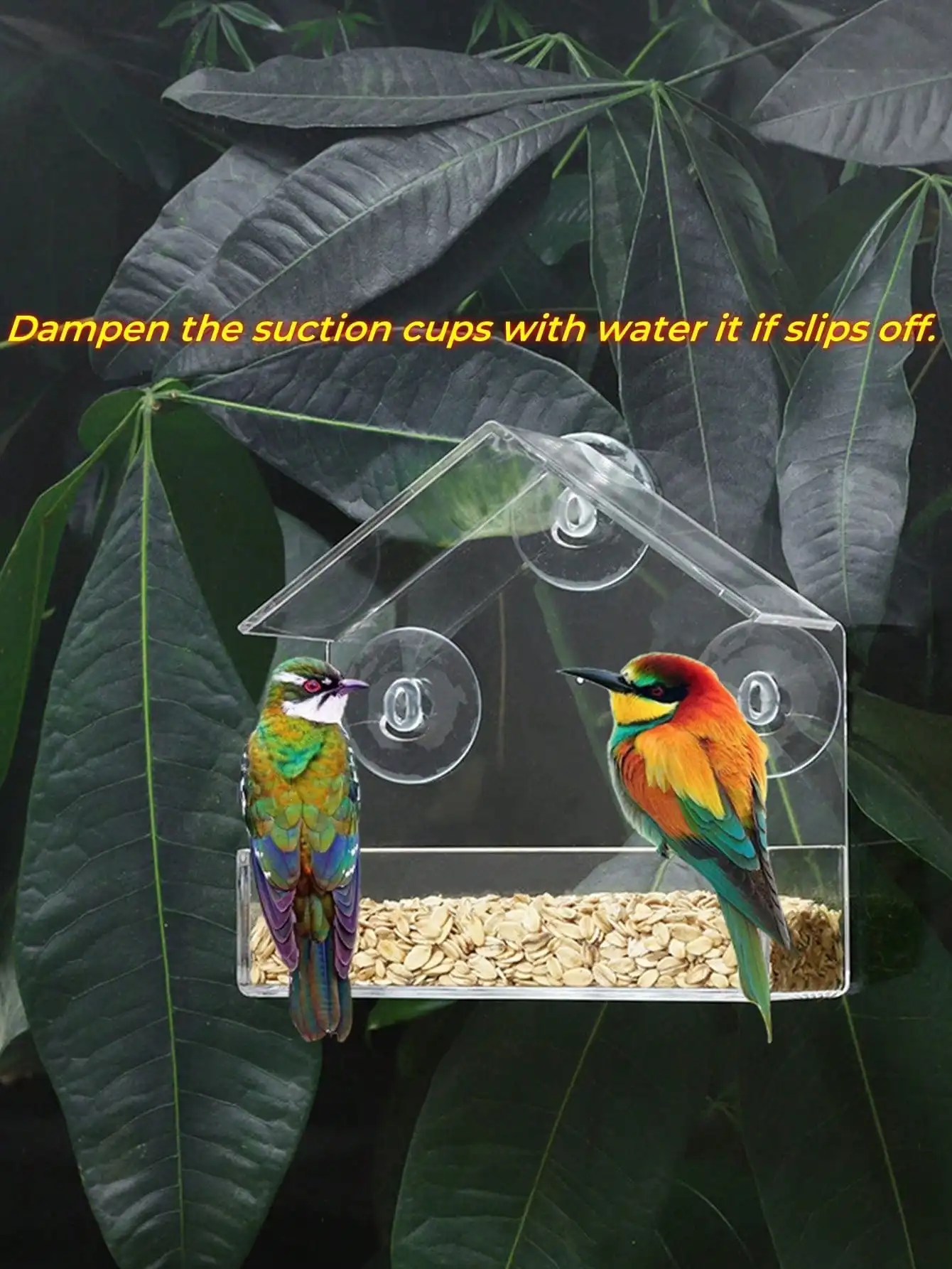 Acrylic Bird Feeder Clear Window Hanging House with Suction Cup For Garden Outdoor Backyard