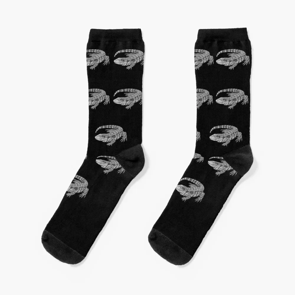 Tegu Socks designer brand luxe tennis men cotton high quality Socks Ladies Men's