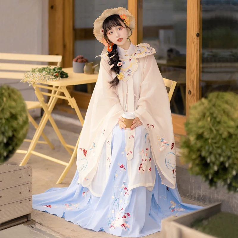 

Original Chinese Hanfu Suit Princess Dress Women Fairy Folk Costume Clothes Female Wei Jin Spring Autumn Friend Pink