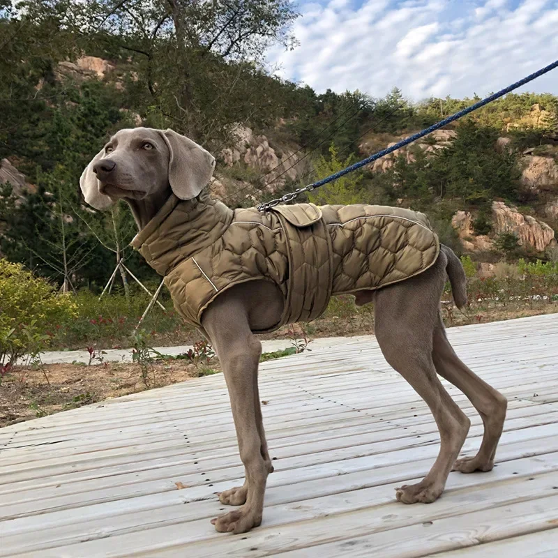Winter Warm Reflective Dog Down Jacket
